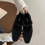 Hairy French Temperament Low Heel Hair Single Shoes Women 2025 New Fairy Evening Wind Plus Velvet Mary Precious