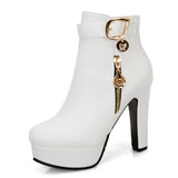 Breakj Women's Boots Autumn And Winter 2023 New Ultra High Heel Waterproof Platform Belt Buckle Fashion Boots Plus Size