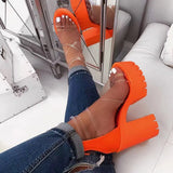 Club Party Platform Chunky Heel Sandals Summer Plus Size Shoes Transparent Gladiator Heel Sandals Shoes