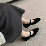 Hairy French Temperament Low Heel Hair Single Shoes Women 2025 New Fairy Evening Wind Plus Velvet Mary Precious