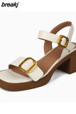 Size 34-40 Women Sandals Retro Genuine Leather High Heels Summer Shoes For Women 2023 Ankle Strap Platform