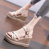 Breakj Heel Sandals Women 2025 Summer New Thick-Spoeled High-Heeled Fish Mouth