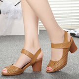 Breakj Sandals Women 2025 Summer New Leather Face Hollow Coarse Heel Cave Sandals Breathable External Wear Women's Shoes