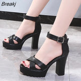 Summer Sandal Shoes for Women 2022 New Arrival Sexy Peep Toe Thick Heels Sandals Platform Casual Russian Shoes