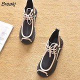 Boots Women Autumn Winter Shoes Thick Sole Ladies Snow Boots Brand Women Winter Ankle Botas