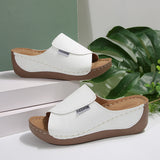 Breakj Thick-Bottomed Casual Slippers Women 2025 New Word Drag Simple Fashion Fish Mouth Slope And Lady Cold