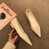 Breakj Shoe Women 2023 New Style Pointed Shallow Flat Single Shoe Low Heel Ladle Shoes Work Shoe