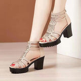 Breakj Fashion Sandals Women 2025 Summer New Fish Mouth Toe Roman Sandals With Breathable Mother