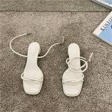 Summer New Narrow Band Women Sandal Shoes Fashion Thick Heel Ladies Elegant Open Toe Sandalias Ankle Strap Dress