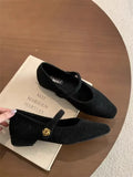 Hairy French Temperament Low Heel Hair Single Shoes Women 2025 New Fairy Evening Wind Plus Velvet Mary Precious