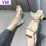 Women Sandals Chunky Heels Brand Slides 2021 Summer Flip Flops Narrow Band Sandal Elegant Mule Shoes Women Slipper Big Size