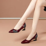 Breakj Chinese Single Shoes Four Seasons Can Wear Commuting Work Shoes Women's Thick Heel Tip Fashion Women's