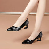 Breakj Chinese Single Shoes Four Seasons Can Wear Commuting Work Shoes Women's Thick Heel Tip Fashion Women's