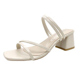 Breakj Fine Sandals Female Fairy Wind 2025 New Medium Heds Slippers Women Wear Coarse Heel With Women's