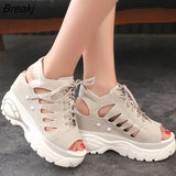 Summer Woman Sandals Platform Roman Sandals Super High-heeled Wedge Fish Mouth Hollow Lace-up Slides Ladies Heels