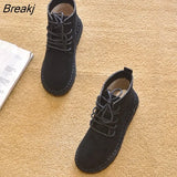Autumn Winter Shoes Women Snow Boots Thick Sole Warm Plush Women Ankle Boots Cotton Shoes Ladies Botas