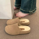 Base Plus Velvet Hairy Shoes Women 2025 Autumn And Winter New Simple Flat Floor Frosted Leather Wear Warm Birken