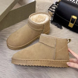 Fashion Winter Snow Boots Fur Ladies Boots Tube Thickened Cotton Warm Fur Shoes Student Women Winter Short Boots