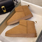 Fashion Winter Snow Boots Fur Ladies Boots Tube Thickened Cotton Warm Fur Shoes Student Women Winter Short Boots