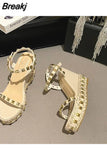 Shoes for Women Luxury Sandals 2023 Summer High Heels Clogs Wedge Suit Female Beige Buckle Strap Fashion High-heeled