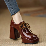 Breakj Heel High-Heeled Women 2025 Spring New Waterproof Table Lace Women's Shoes Temperament Coarse Commuting Deep Mouth Single