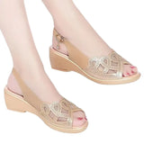Shoes 2023 Hot Sale Women's Sandals Summer Mesh Fish Mouth Chunky Heel Semi-High Heeled Hollow Out Soft Bottom Mom