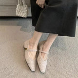 Hairy French Temperament Low Heel Hair Single Shoes Women 2025 New Fairy Evening Wind Plus Velvet Mary Precious