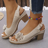 Breakj Coarse Sandals Spring Spring Summer New Hollow Fish Mouth Flowers High Heel Roman Sandals