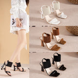 Breakj Women 2023 New Fairy Wind Type Fine Heel High-Heeled Year-Round Large-Size Women's