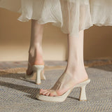 Open-Toe High-Heeled Shoes Single Shoes French Thick Heel Minority Empty Sandals Transparent Outside Wearing Beautiful High Heels