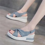 Heel Fashion Sandals Women 2023 Summer New Sexy High-heeled Velcro Fairy Wind Open Toe Comfortable Women's