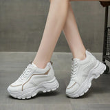 Breakj And Leisure Shoes Women 2025 Autumn New Thick-Soled Lace Running Shoes Old Dad