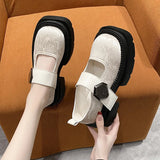 Casual Thick Heels Increase Simple French Shallow Mouth Women 2024 New Spring Black Retro Mary Jane