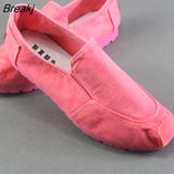 Summer New Style Women's Singles Shoes Old Beijing Cloth Shoes Denim Canvas Shoes +Pure hand embroidered