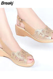 Shoes 2023 Hot Sale Women's Sandals Summer Mesh Fish Mouth Chunky Heel Semi-High Heeled Hollow Out Soft Bottom Mom
