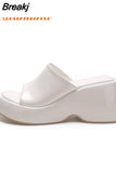Fashion Brand Women's Slippers 2023 Wedge High Heeled Sandals European Style Simply Casual Comfy Walking Slippers