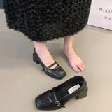 Breakj Thick Heel Night Night Shoes French Shoes Women's Shoes 2024 New Spring And Fall Black Mary Jane Small Leather