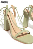 Sexy Thick High-heeled sandals Party Wedding Shoes Elegant Simple Women's Shoes Catwalk Fashion High-heeled