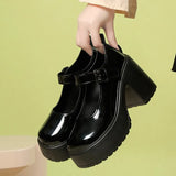 New Fashion Women's Thick Sole Round Toe High Heel Shoes with Shallow Buckle Casual Large Women's High Heel Shoes
